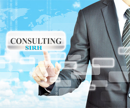 Consultant SIRH